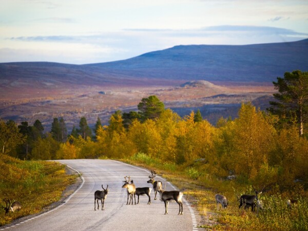 Neljän päivän loma Pohjois-Lapissa