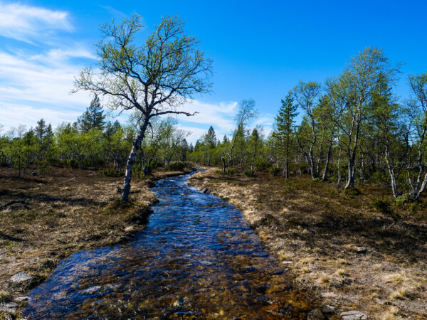 eFatbike-pyöräilyretki