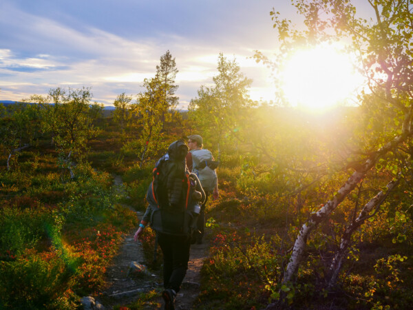 Keskiyön vaellus