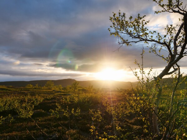 Päivä Tundralla
