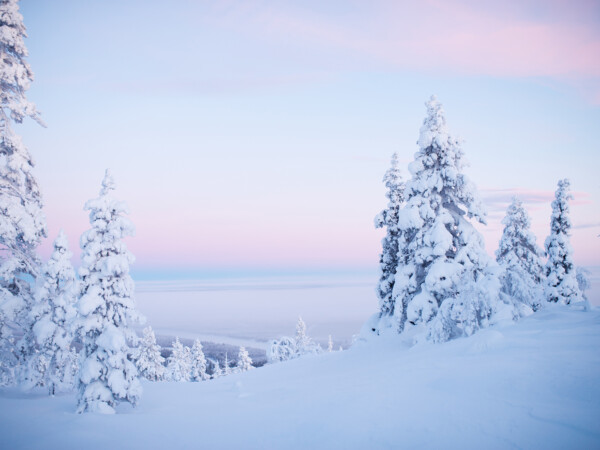 Saariselkä Päivä: Tunturivaellus, Lounas ja Sauna