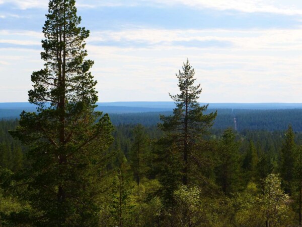 Wanderung ins Hammastunturi Wildnisgebiet