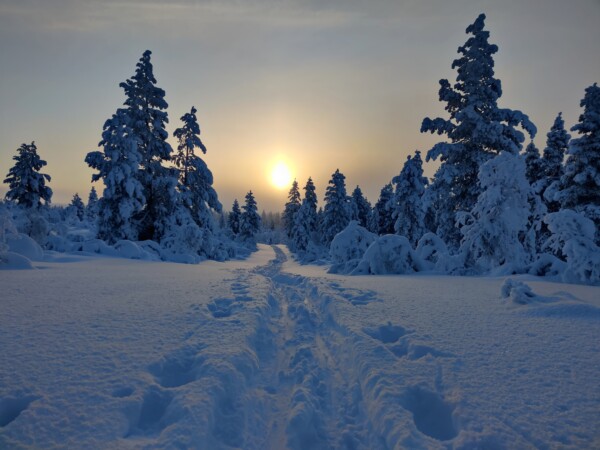 Thursday – Saariselkä day