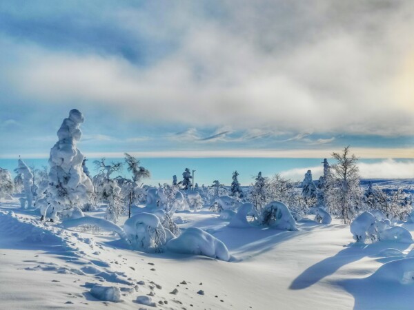 Friday – Winter Trek to Inari Wilderness