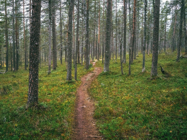 Urho Kekkosen kansallispuiston pyöräretki