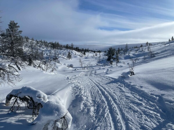 Backcountry Ski Tour in Urho Kekkonen Nationalpark