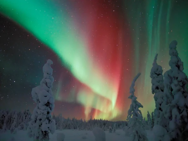 Aurora Snowshoe Trek